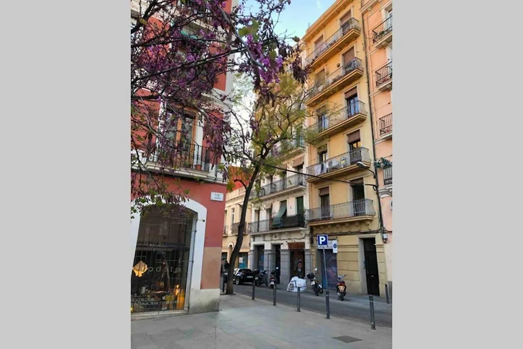 Sunny Apartment Gracia - Joanic Renovated Barcelona Spain